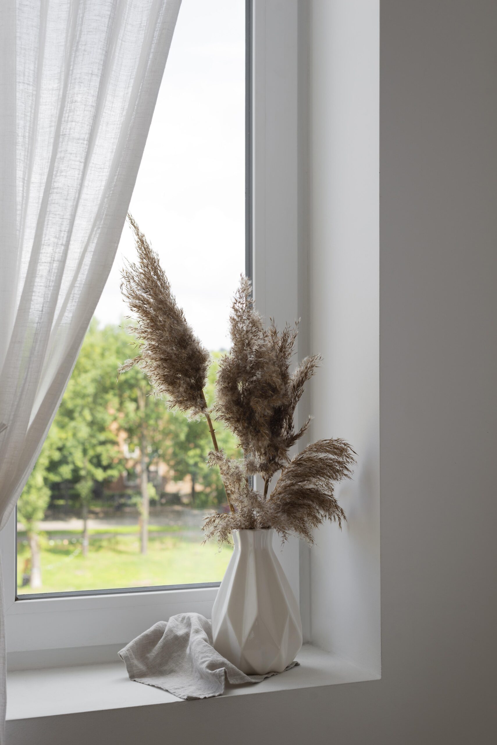 home-plant-vase-decoration-arrangement